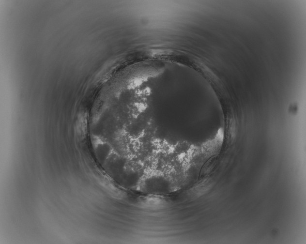 X0000114990475200911161518