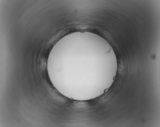 X0000114990476200911161518