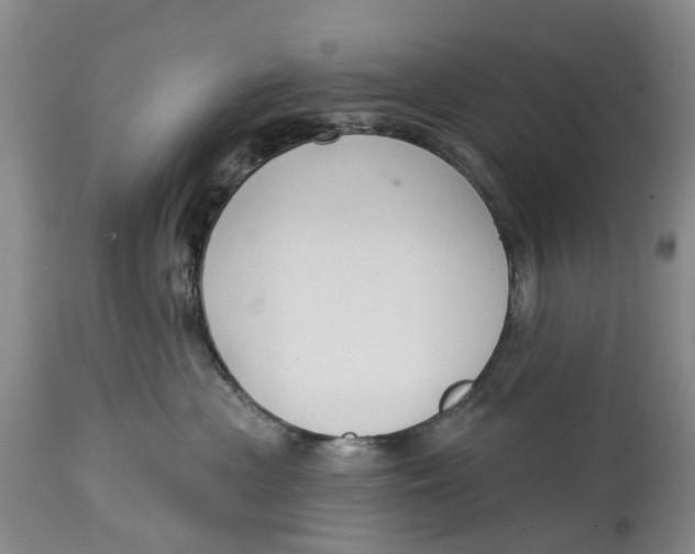 X0000114990477200911161518