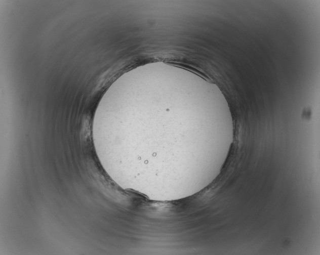 X0000114990478200911161518