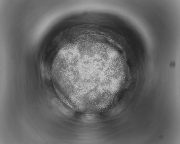 X0000114990479200911161518