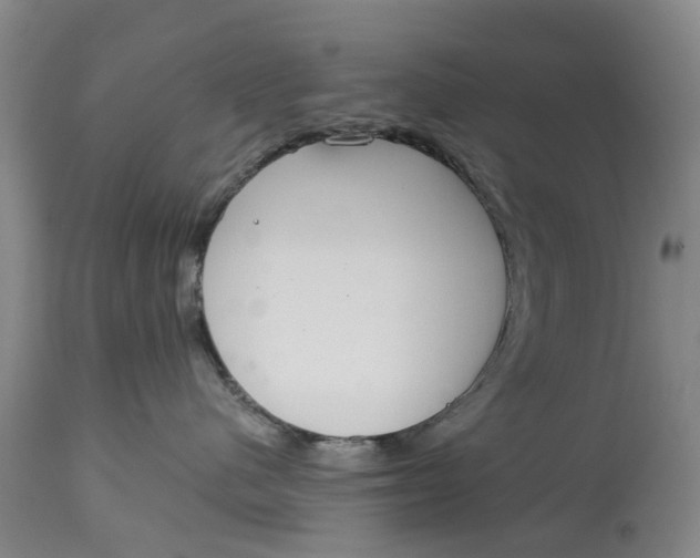 X0000114990480200911161518