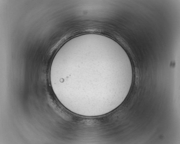 X0000114990482200911161517