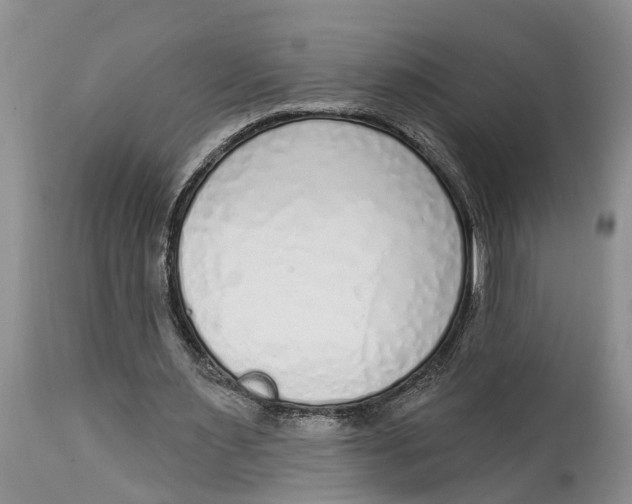 X0000114990483200911161517