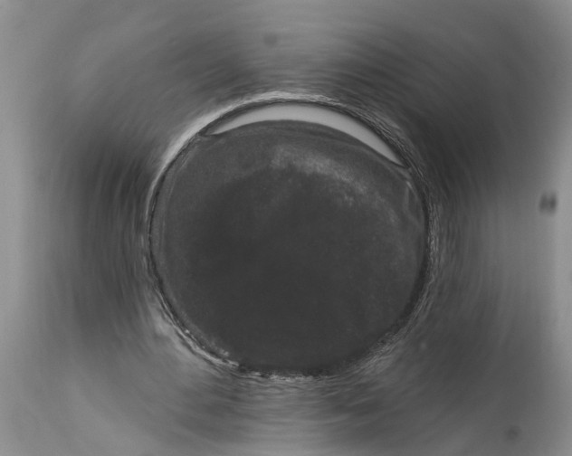 X0000114990484200911161517