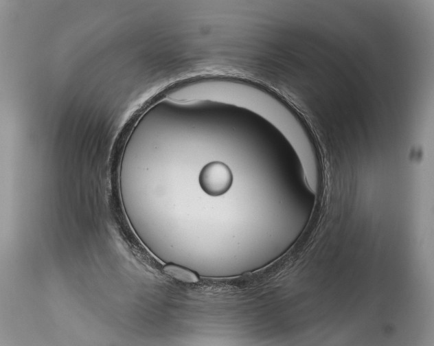 X0000114990488200911161517