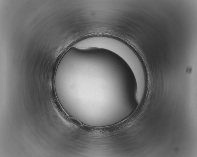 X0000114990489200911161517