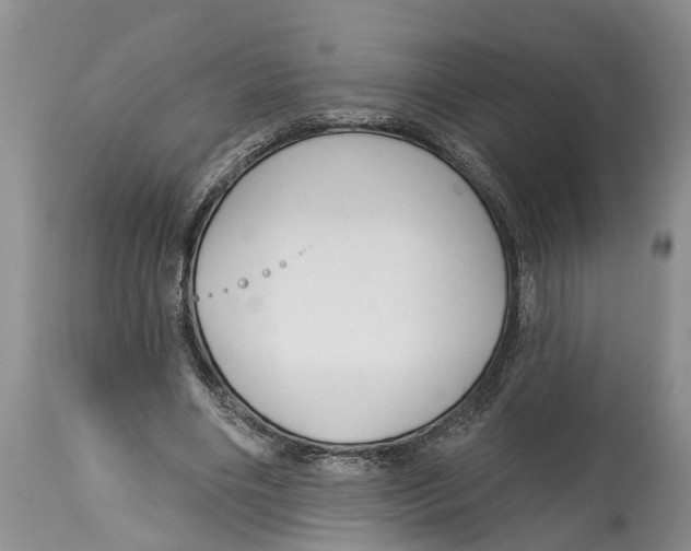 X0000114990490200911161517