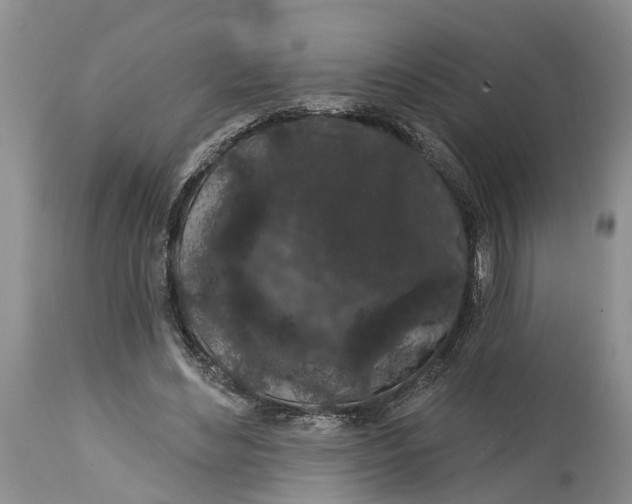 X0000114990492200911161517