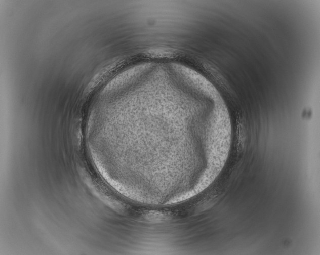 X0000114990494200911161517