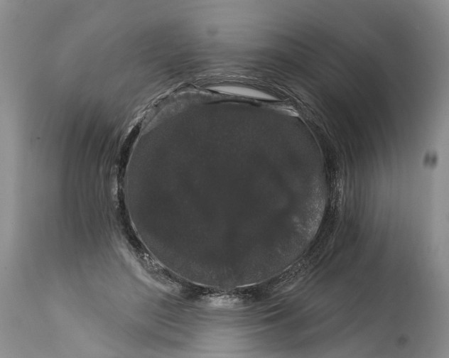 X0000114990500200911161517