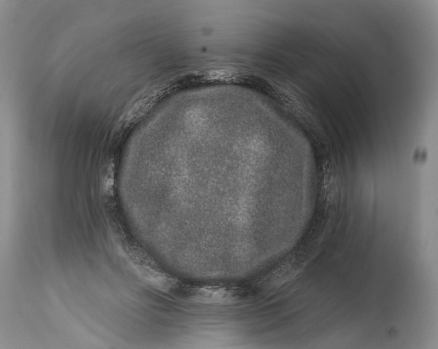 X0000114990502200911161517