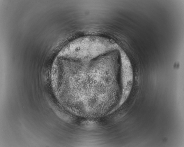 X0000114990503200911161517