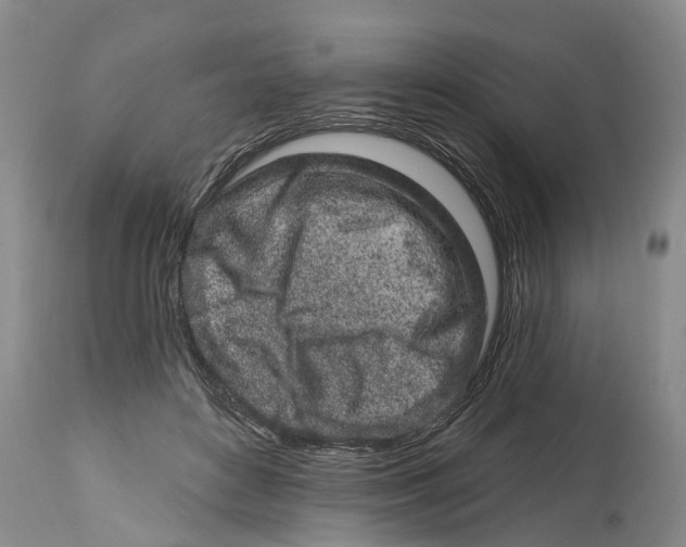 X0000114990504200911161517