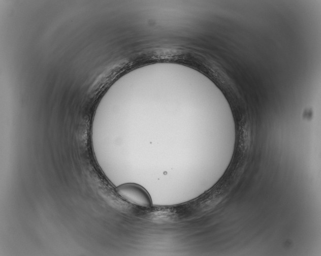 X0000114990505200911161517