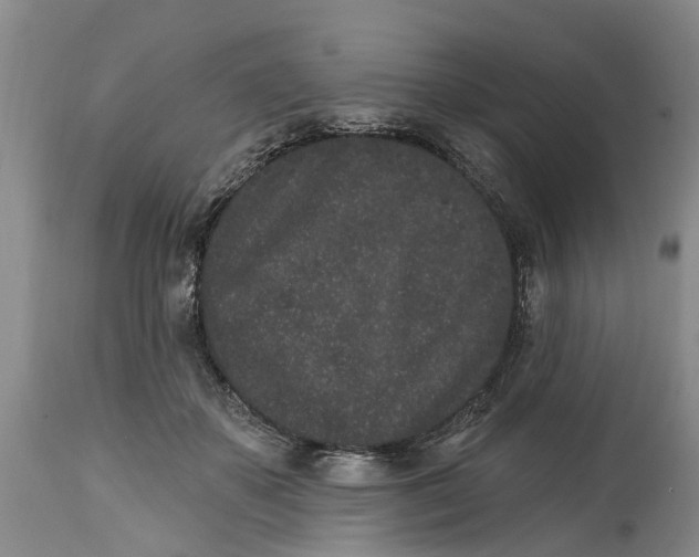 X0000114990507200911161517