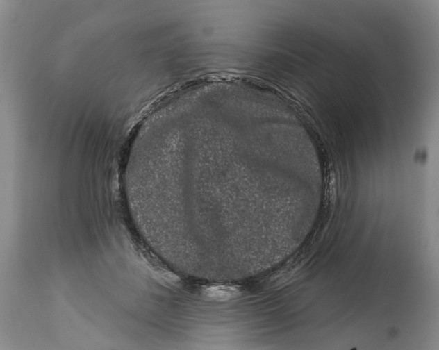 X0000114990508200911161517