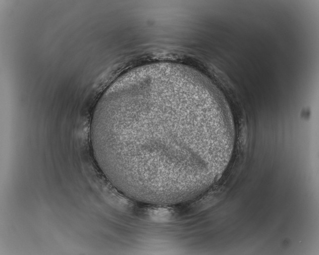 X0000114990513200911161517