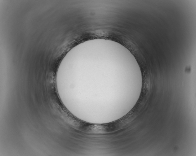 X0000114990518200911161516