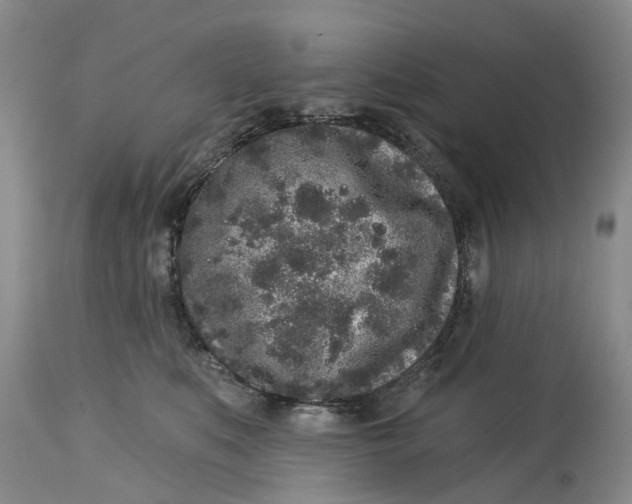 X0000114990519200911161516