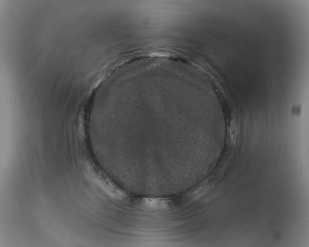 X0000114990520200911161516