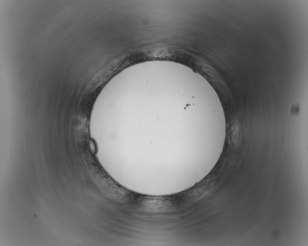 X0000114990521200911161516