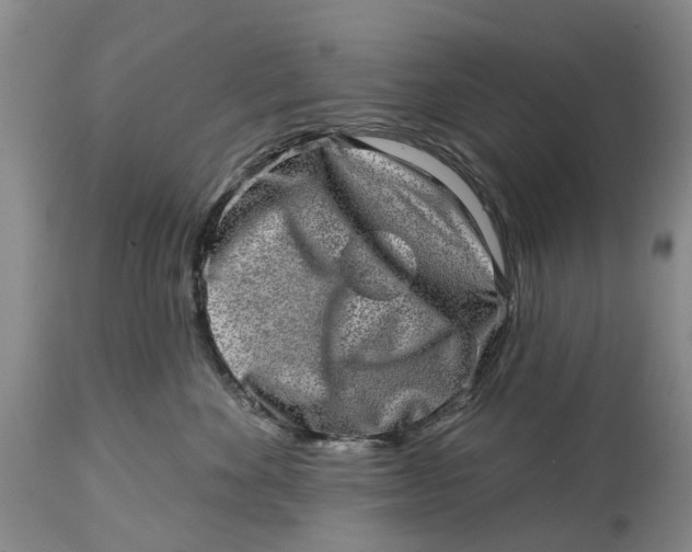 X0000114990524200911161516