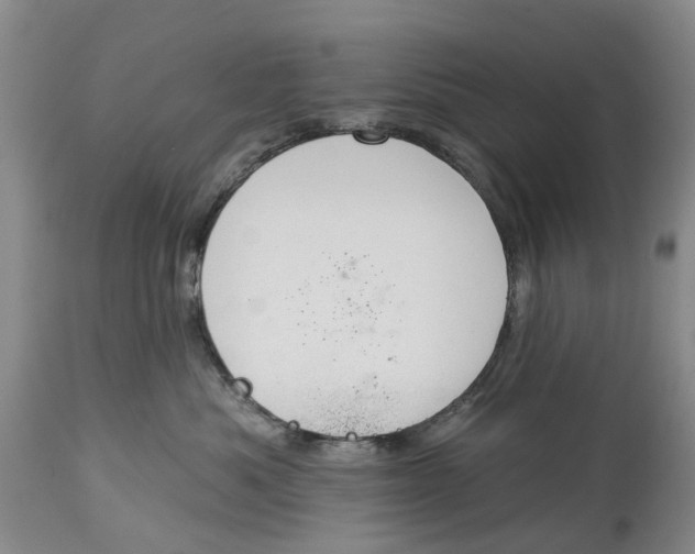 X0000114990525200911161516