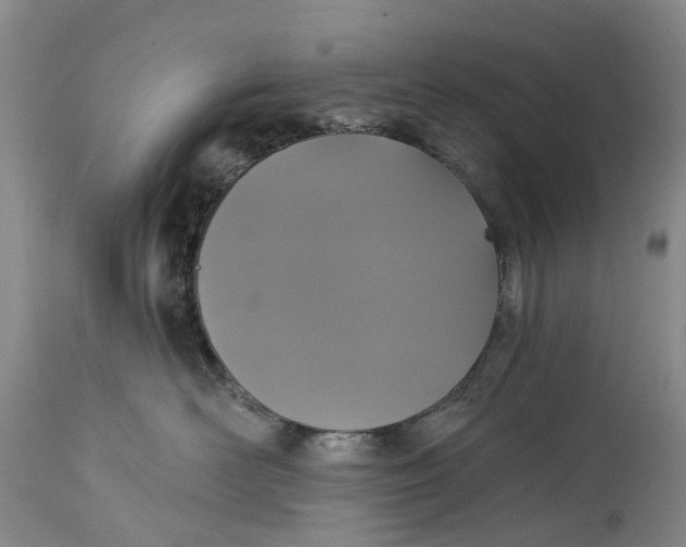 X0000114990526200911161516