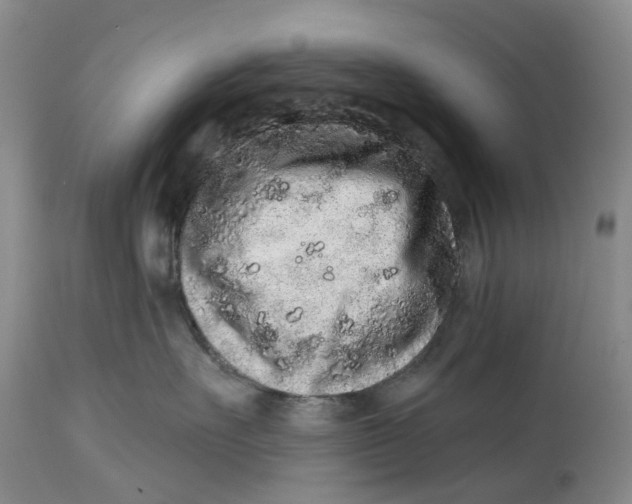 X0000114990527200911161516