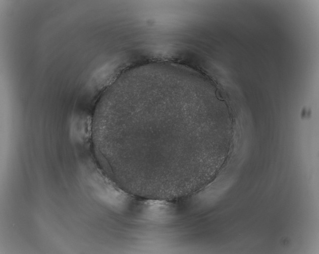 X0000114990528200911161516