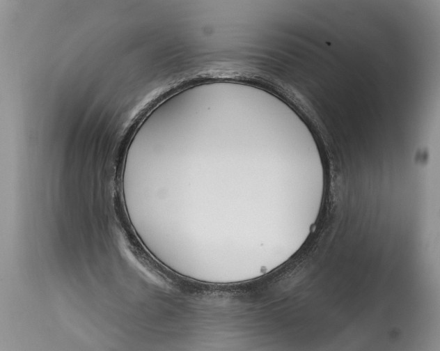 X0000114990530200911161516