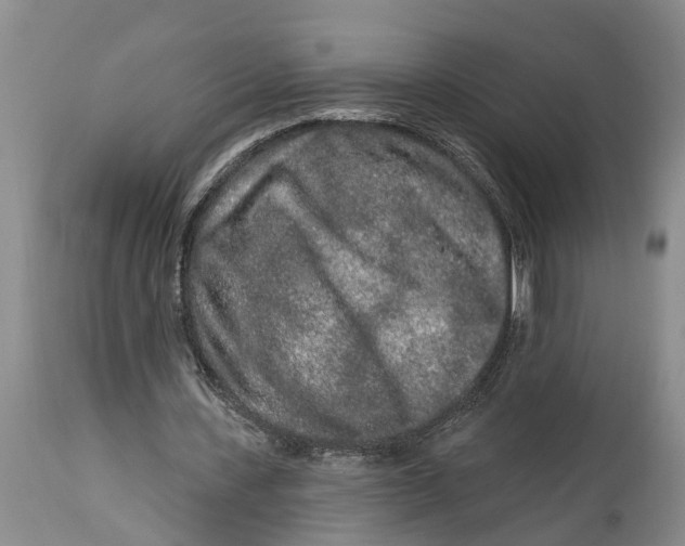 X0000114990531200911161516