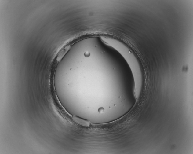 X0000114990534200911161516