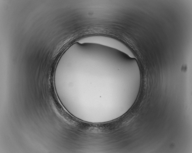 X0000114990538200911161516