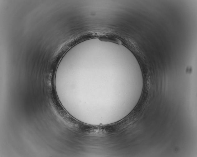 X0000114990543200911161516