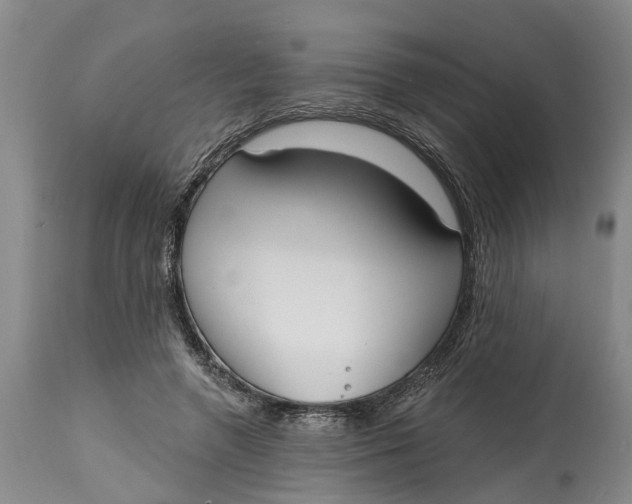 X0000114990546200911161516