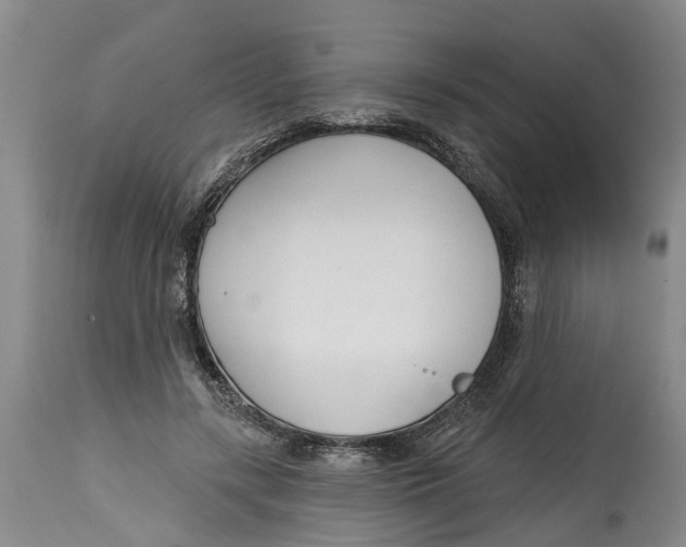 X0000114990547200911161516