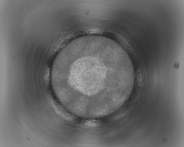 X0000114990550200911161516