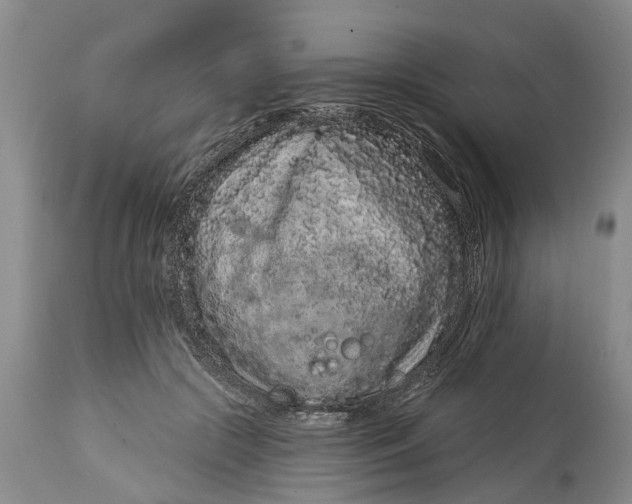 X0000114990553200911161516