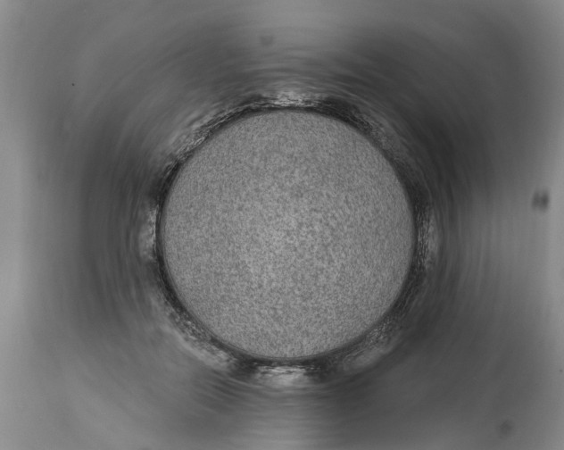 X0000114990554200911161516