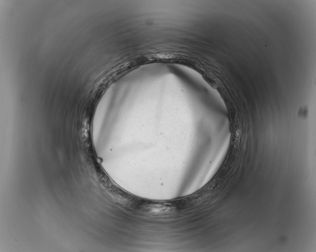 X0000114990555200911161516