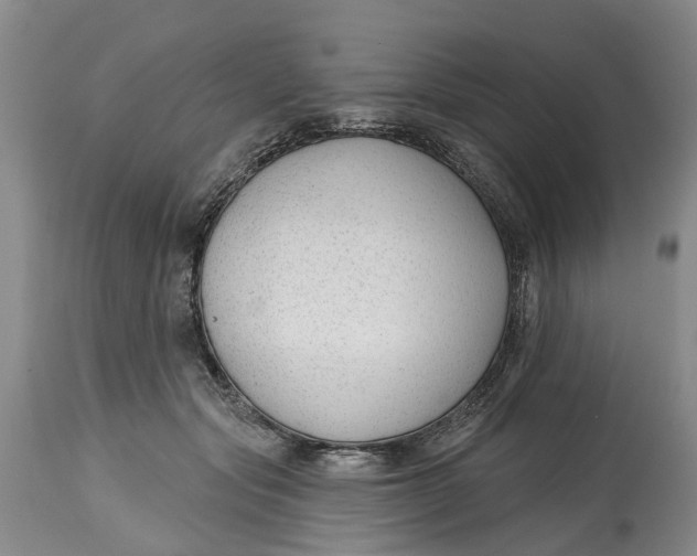 X0000114990557200911161516