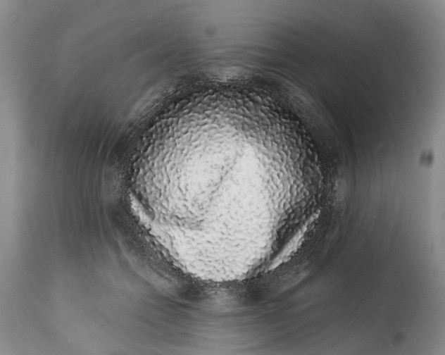 X0000114990558200911161516