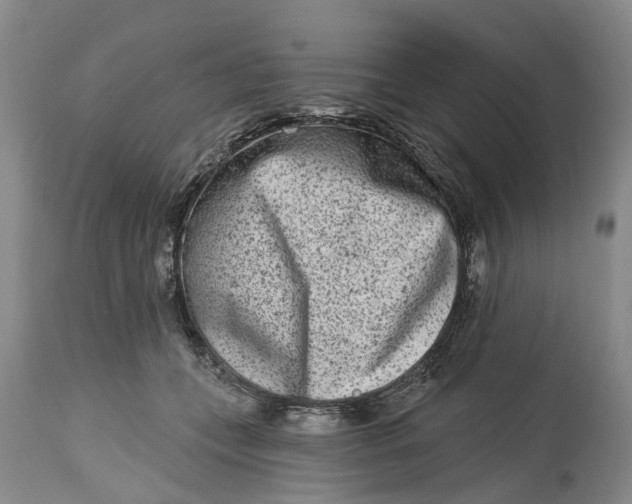 X0000114990559200911161516