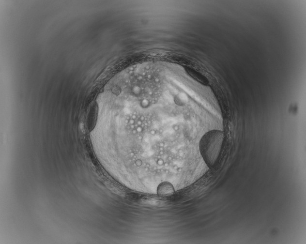 X0000114990561200911161516