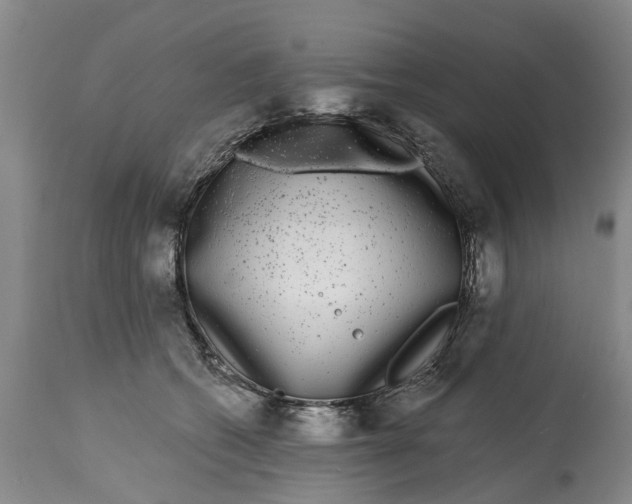 X0000114990562200911161516