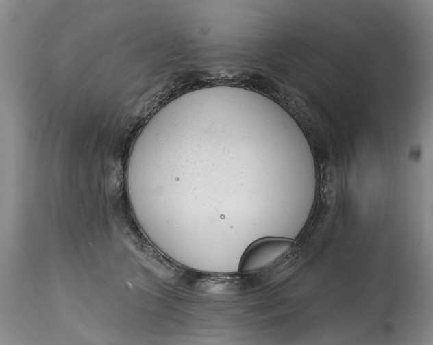 X0000114990563200911161516