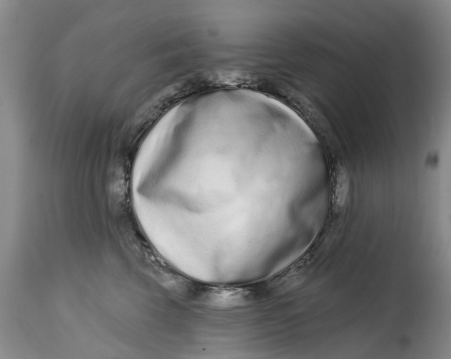 X0000114990569200911161516