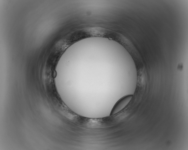 X0000114990573200911161516